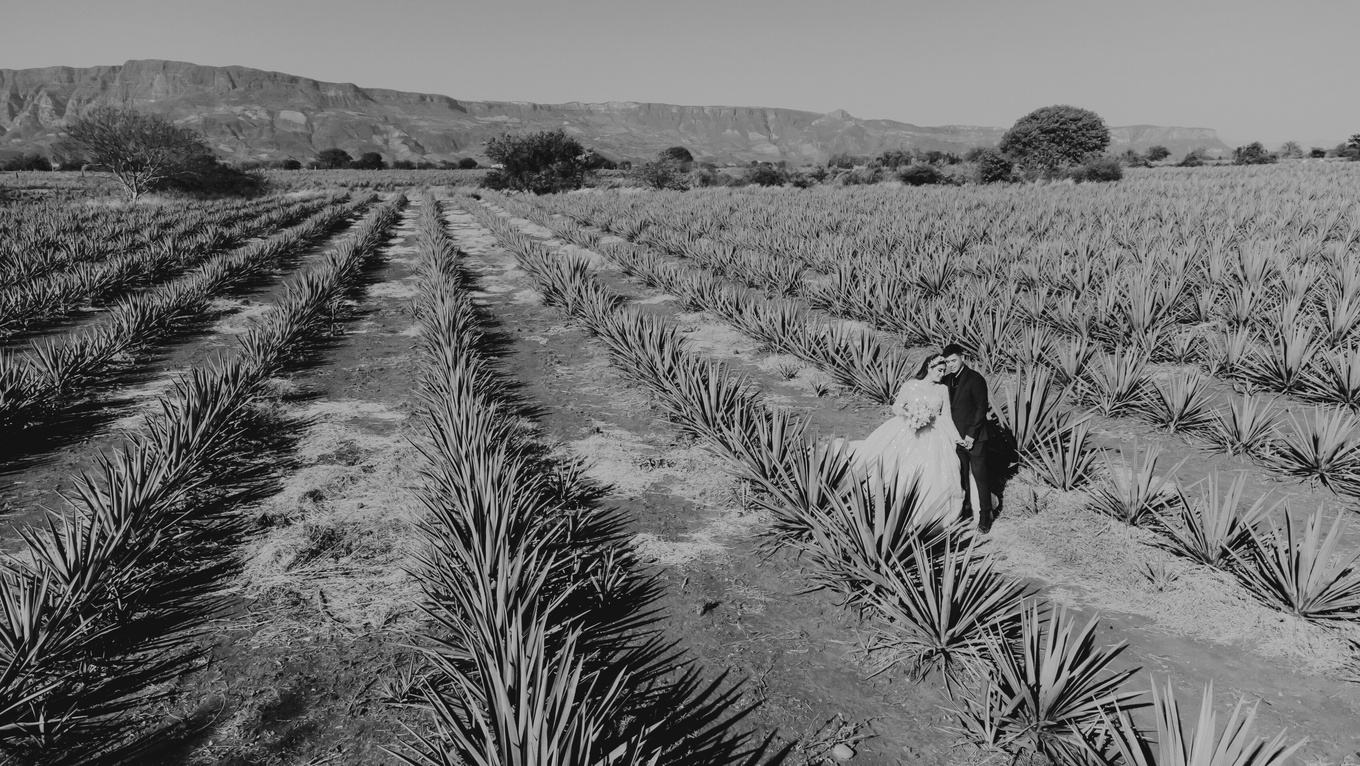 Pareja de recién casados en un paisaje de agaves