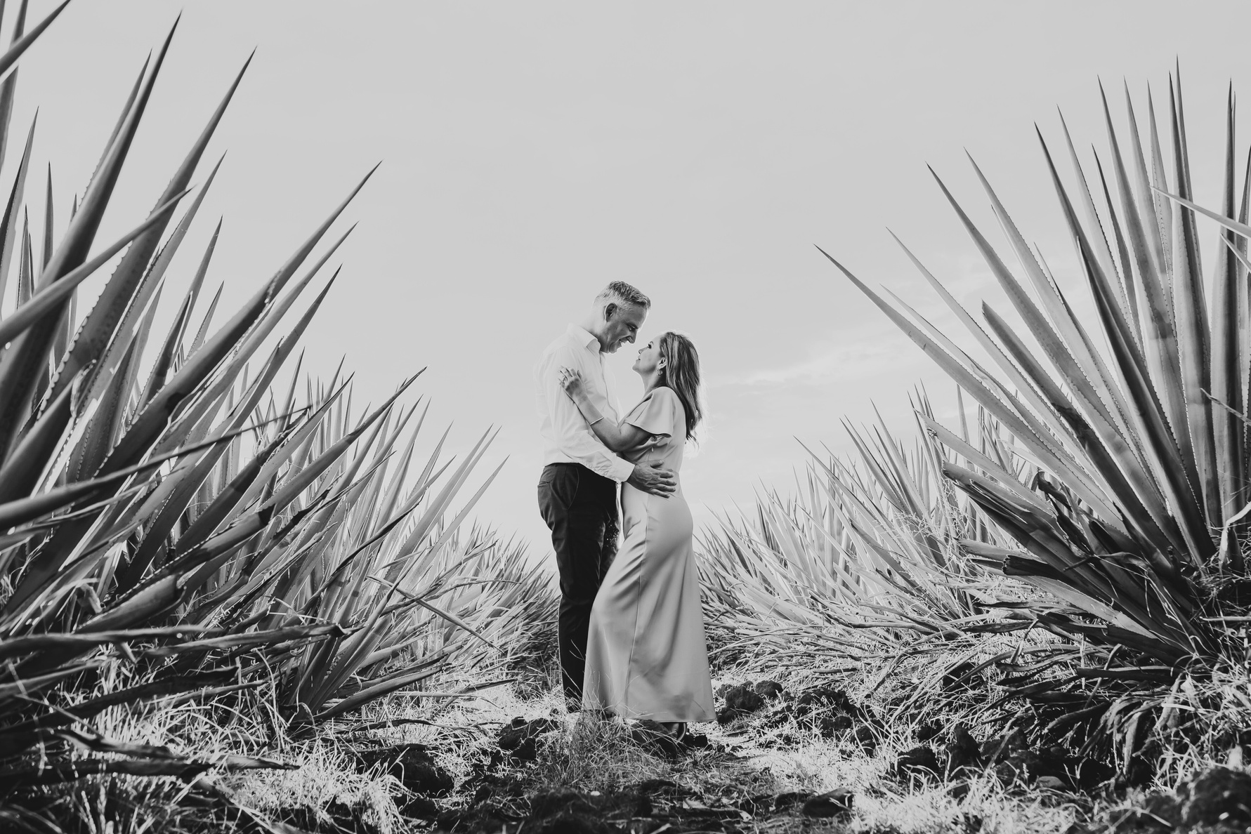 Pareja abrazándose entre plantas de agave